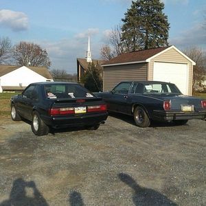 Meet your Posher, Shane